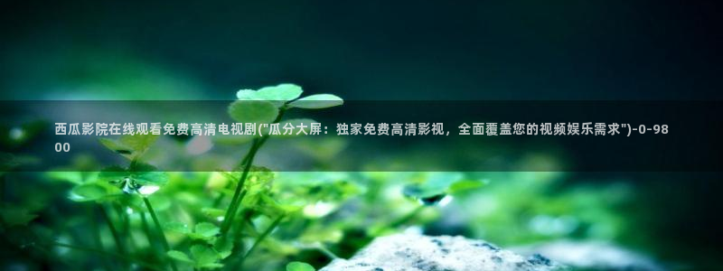 西瓜在线免费电影