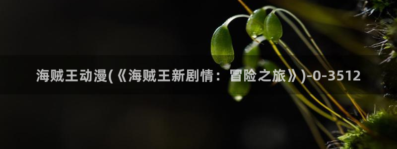雪鹰领主动漫