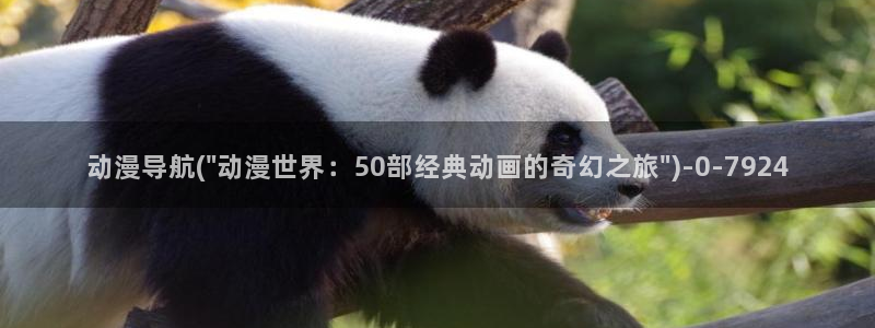 神墓动漫
